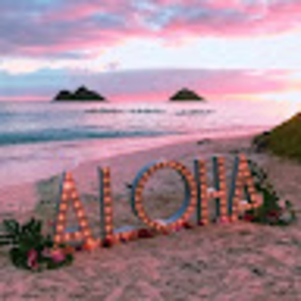 Meet your Posher, Lisjalovesmaui